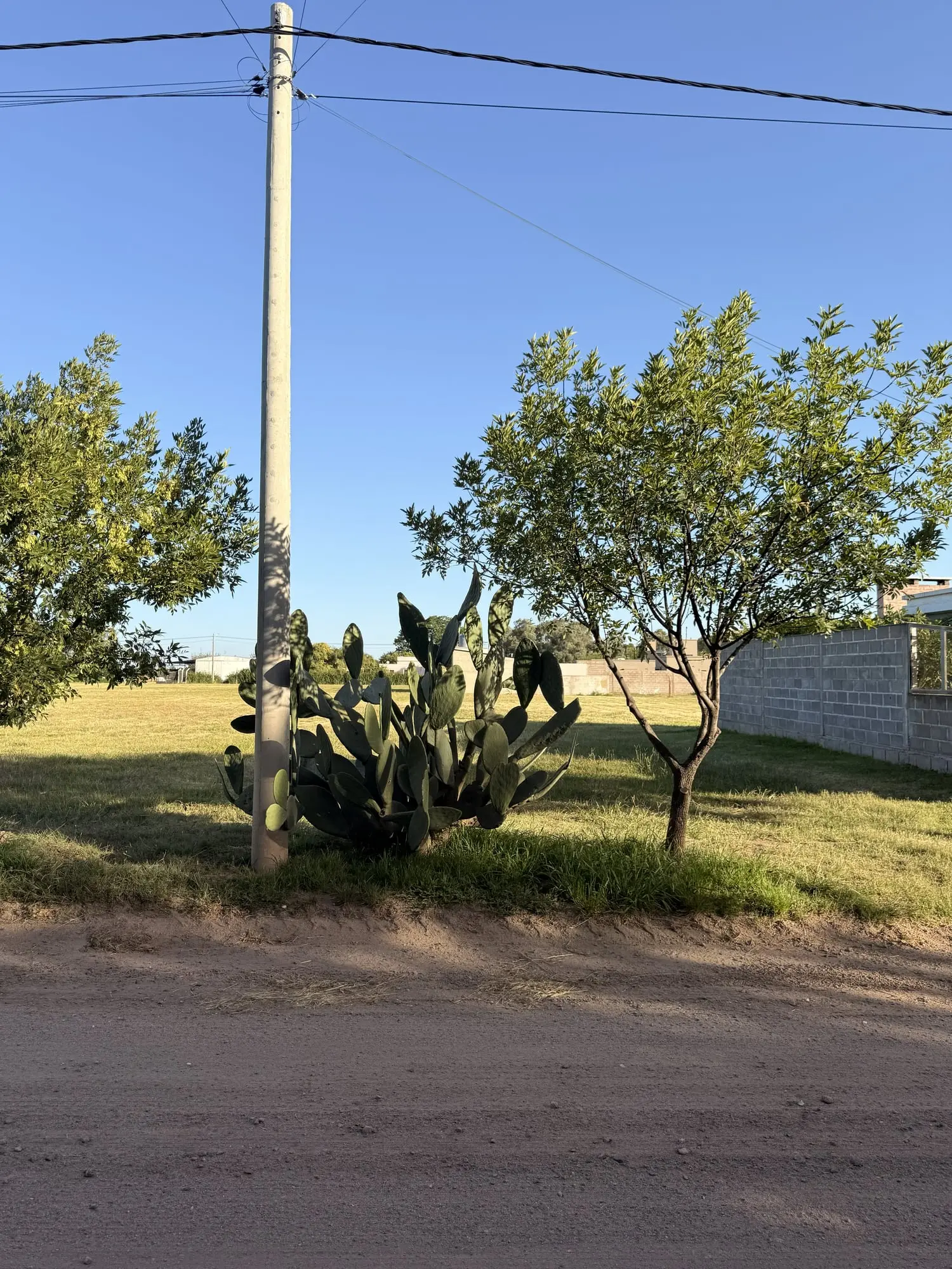 Lote para construir - foto 2